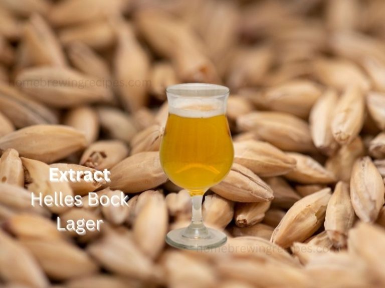 Helles Bock Lager extract 1 768x576