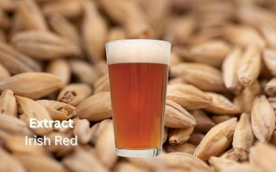 Irish Red Ale 5 Gallon Extract