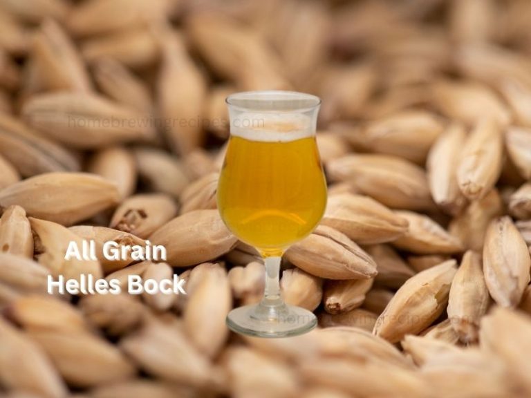 helles bock all grain 768x576