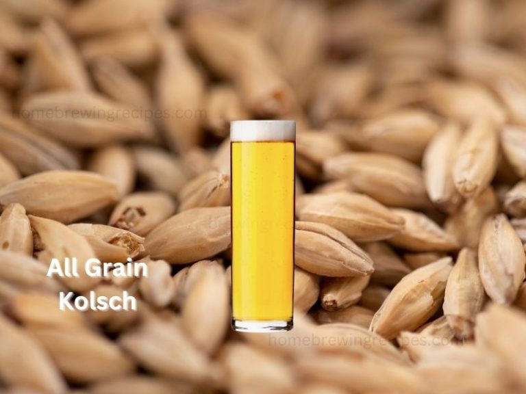 kolsch all grain 768x576