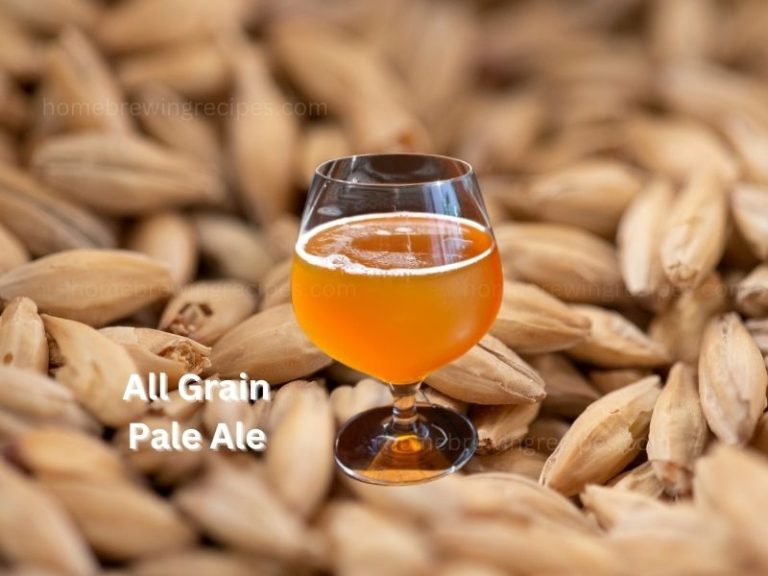 pale ale all grain 1 768x576
