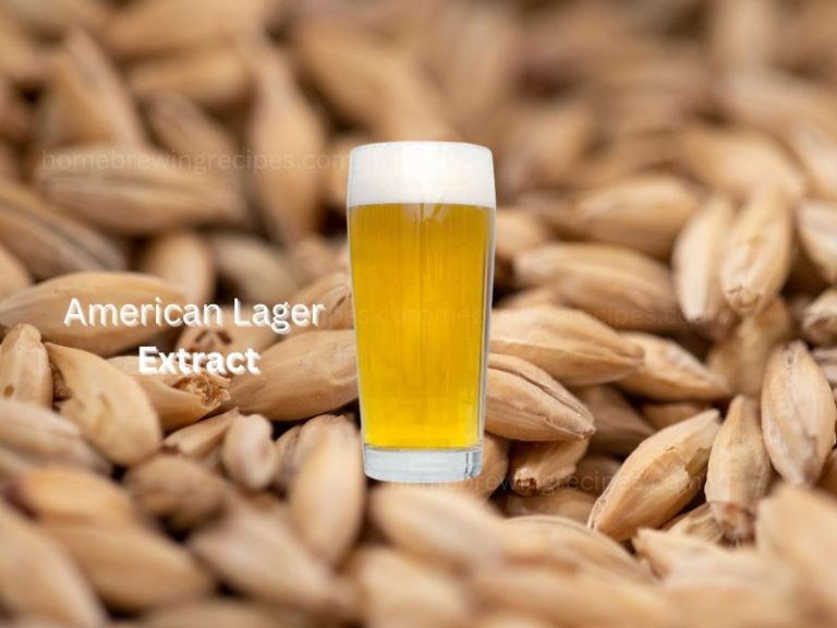 Copy of American Light Lager Gallon Extract  768x576