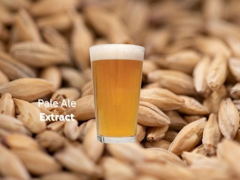 pale ale Gallon Extract  768x576
