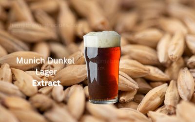 Munich Dunkel 5 Gallon Extract