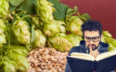 How to Read a Home Brew Recipe
